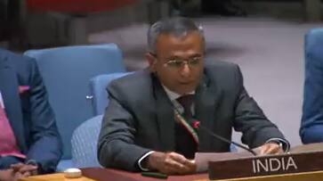 India warns Pakistan's reference to Kashmir on Israel-Palestine conflict with 'contempt they deserve' AJR India warns Pakistan's reference to Kashmir on Israel-Palestine conflict with 'contempt they deserve' AJR