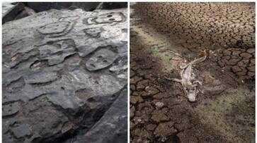 1000 years of human history emerged in Amazon when the water level dropped BKG 1000 years of human history emerged in Amazon when the water level dropped BKG