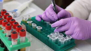 eight new viruses found in china hyp eight new viruses found in china hyp