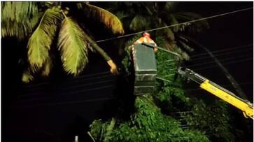 Thrissur heavy rain latest news cocouncut plant falls to 11 KV Electric line Fire Force KSEB Rescue Success asd Thrissur heavy rain latest news cocouncut plant falls to 11 KV Electric line Fire Force KSEB Rescue Success asd