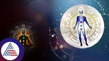 relation between your body organs health and planets in kundali bni relation between your body organs health and planets in kundali bni