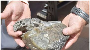 Four US citizens arrested for selling dinosaur bones worth Rs 8 crore to China bkg Four US citizens arrested for selling dinosaur bones worth Rs 8 crore to China bkg