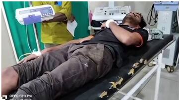 wild buffalo attacked a scooter passenger leaving him badly injured public lives under fear afe wild buffalo attacked a scooter passenger leaving him badly injured public lives under fear afe