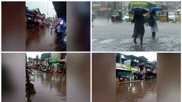 rain alert in kerala yellow alert in pathanamthitta district sts rain alert in kerala yellow alert in pathanamthitta district sts