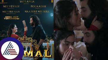 Animal song Satranga captures Ranbir Rashmikas bittersweet love suc Animal song Satranga captures Ranbir Rashmikas bittersweet love suc