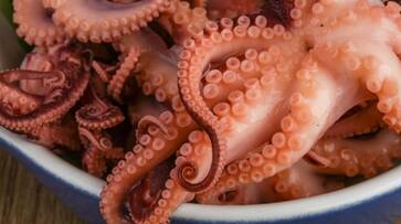 82 year old man dies after eating live octopus dish while octopus tentacles chocked etj 82 year old man dies after eating live octopus dish while octopus tentacles chocked etj