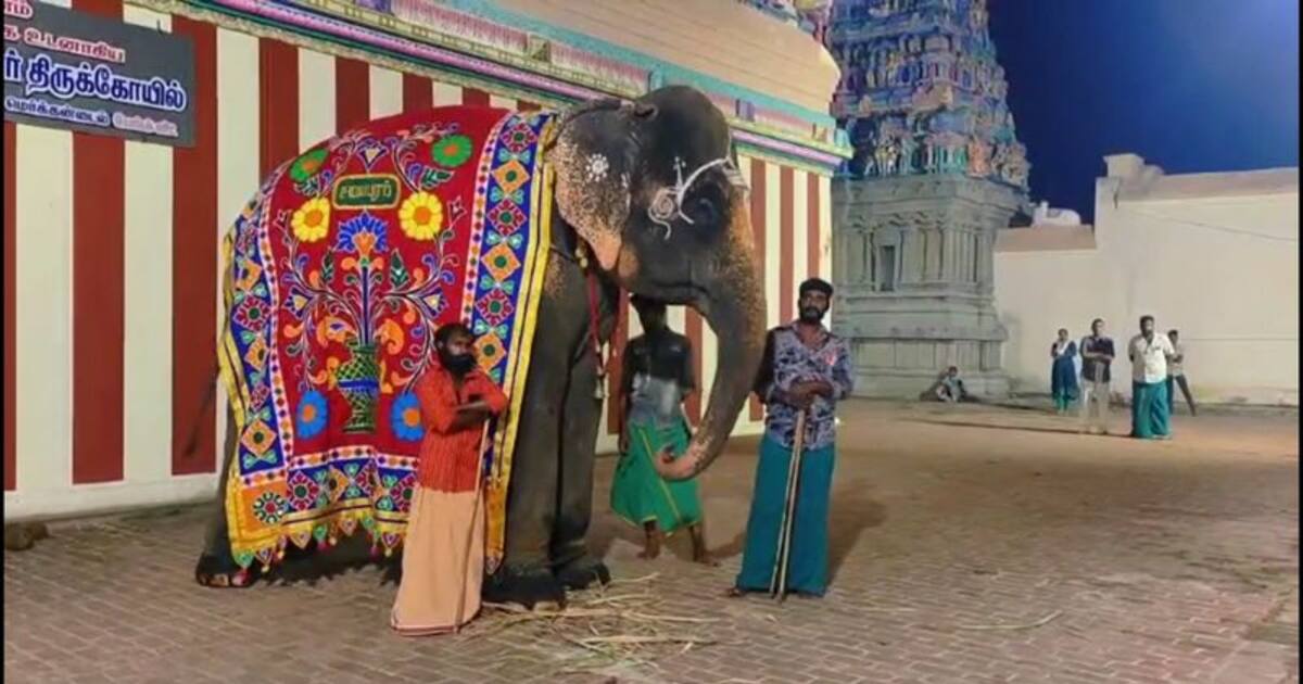 விநாயகர் பாடலை கேட்டு ஆனந்த தாண்டவம் ஆடிய கோவில் யானை; இணையத்தில் வைரலாகும் வீடியோ