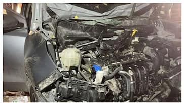 gulf news car collided with camel and one died in accident rvn gulf news car collided with camel and one died in accident rvn
