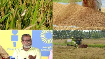 paddy farmers in trouble, procurment issue not yat solved paddy farmers in trouble, procurment issue not yat solved