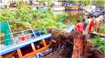 Private boat was completely destroyed by a falling tree in Alappuzha asd Private boat was completely destroyed by a falling tree in Alappuzha asd