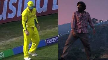 david warner dance in cricket stadium for pushpa movie song video viral arj david warner dance in cricket stadium for pushpa movie song video viral arj