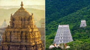 Leopard scare back at Andhra Tirumala walkway TTD authorities issue alert for devotees gow Leopard scare back at Andhra Tirumala walkway TTD authorities issue alert for devotees gow