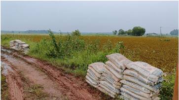 Farmers are unable to cultivate 1200 acres due to beam regulator shutter is closed in thrissur asd Farmers are unable to cultivate 1200 acres due to beam regulator shutter is closed in thrissur asd