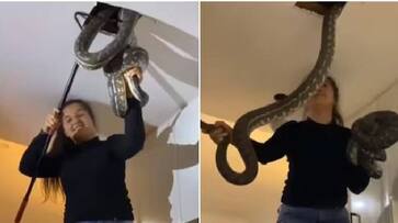 woman catches two snakes with bare hands rlp woman catches two snakes with bare hands rlp