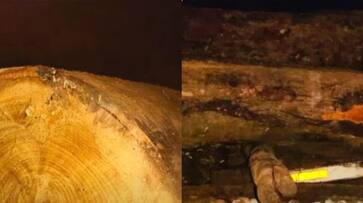 accident at wood sawmill in kayamkulam SSM accident at wood sawmill in kayamkulam SSM
