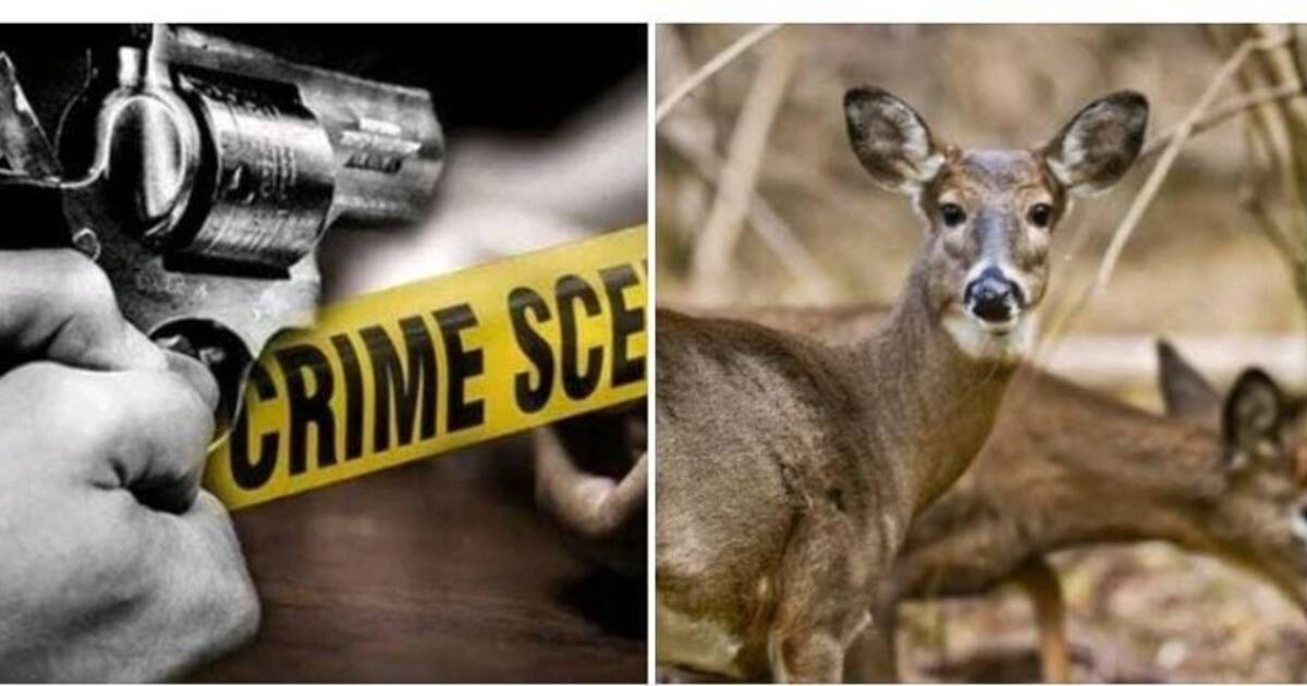 வன விலங்குகளை வேட்டையாட சென்றவரை துப்பாக்கியால் சுட்டுக்கொன்ற வனத்துறை.! சுட்டது ஏன் வெளியான பகீர் தகவல் 