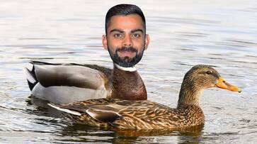 ICC World cup Barmy Army fans troll viral kohli for duck against England ckm ICC World cup Barmy Army fans troll viral kohli for duck against England ckm