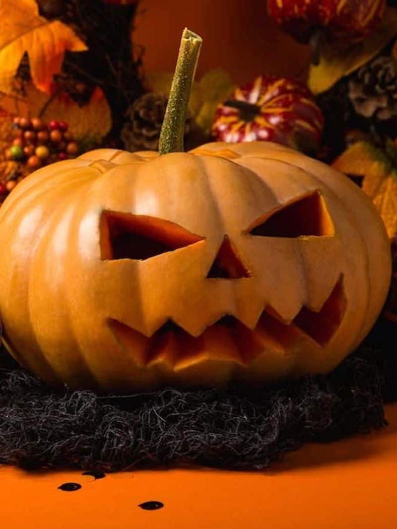 Why is Halloween celebrated in India? Know it's origins, traditions, and some spooky party and celebration ideas RBA