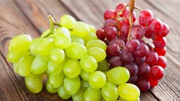 incredible benefits of red grapes for diabetes azn incredible benefits of red grapes for diabetes azn