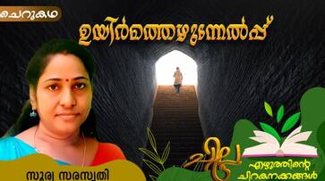 chilla malayalam short story by Surya Saraswathy chilla malayalam short story by Surya Saraswathy