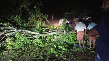 Heavy rain in Thrissur, widespread damage! pregnant cow died due to lightning Heavy rain in Thrissur, widespread damage! pregnant cow died due to lightning