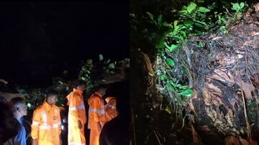 heavy rain; railway line disrupted due to tree fall, trains will delay in thrissur-Shoranur route heavy rain; railway line disrupted due to tree fall, trains will delay in thrissur-Shoranur route