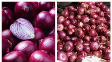 Onion prices are soaring in the state small onion crosses a hundred fvv Onion prices are soaring in the state small onion crosses a hundred fvv