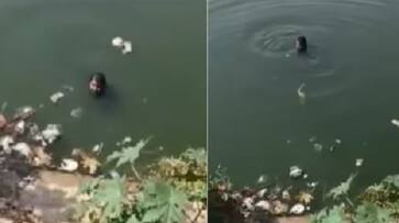 A drug peddler escaped by jumping into a lake and swimming to escape from the police akb A drug peddler escaped by jumping into a lake and swimming to escape from the police akb