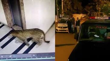 70 Forest Guards use of thermal drone camera to catch leopard gvd 70 Forest Guards use of thermal drone camera to catch leopard gvd