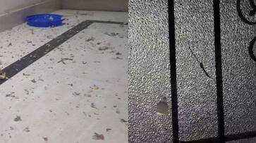 bomb attack perumathura three in police custody SSM bomb attack perumathura three in police custody SSM