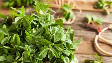 know the health benefits of fenugreek leaves-rse- know the health benefits of fenugreek leaves-rse-