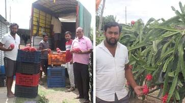 Young Farmer Who Earn Money for Dragon crop During Drought in Vijayapura grg Young Farmer Who Earn Money for Dragon crop During Drought in Vijayapura grg