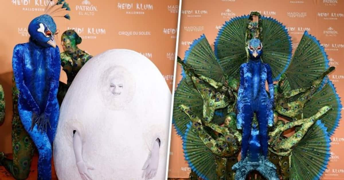 Halloween 2023: Heidi Klum's Peacock Costume Steals Spotlight [PICTURES]