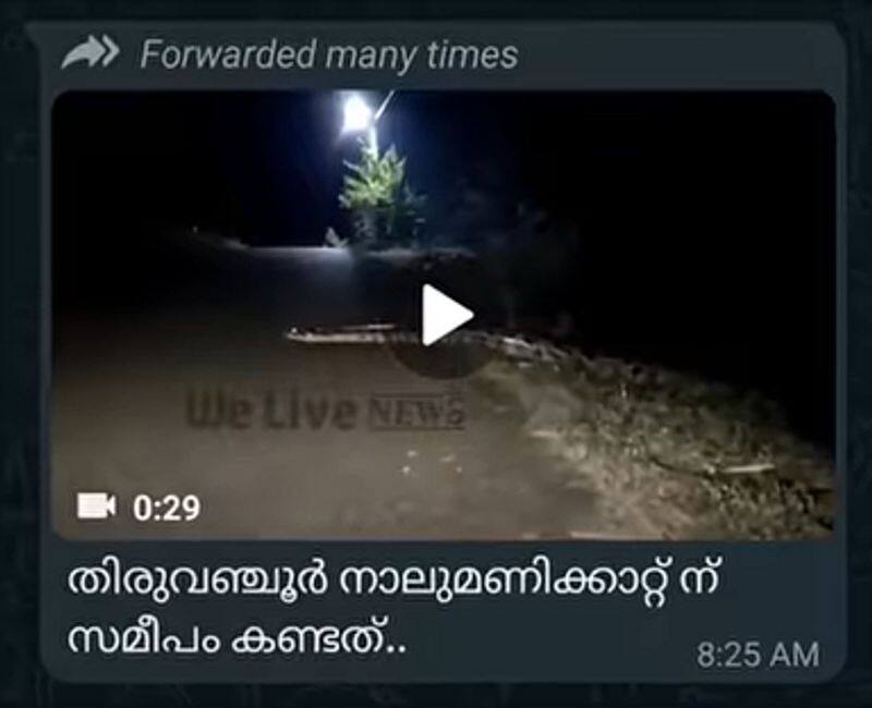 viral video of long python from Nalumanikattu near Thiruvanchoor true of false here is the fact check jje 