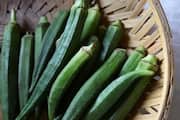 benefits of consuming okra regularly