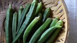 Is it good to eat okra every day? rsl