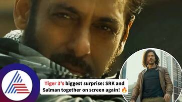 Salman Khans Tiger is releasing for Diwali Shah Rukh fans surprise suc Salman Khans Tiger is releasing for Diwali Shah Rukh fans surprise suc