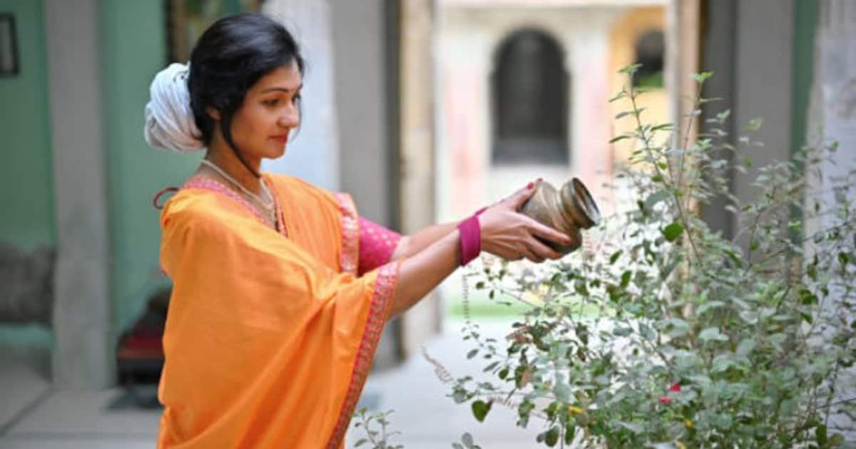 Tuli Ritual Can worshipping of Tulsi plant remove your sins? Read importance ...