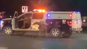 Naked Man Steals Patrol Vehicle In USA - bsb Naked Man Steals Patrol Vehicle In USA - bsb