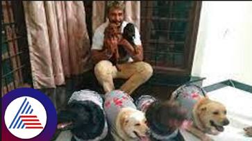 Dogs attack woman Sandalwood Darshan and dogs care taker hemanth Inquiry RR nagar police bengaluru rav Dogs attack woman Sandalwood Darshan and dogs care taker hemanth Inquiry RR nagar police bengaluru rav