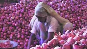 Onion Price Drop For supply increased in Bengaluru grg Onion Price Drop For supply increased in Bengaluru grg