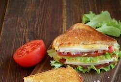 history and facts of sandwich zkamn
