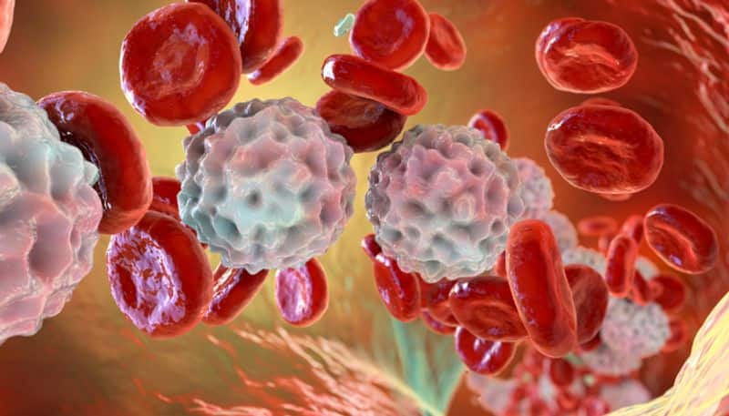 What is CAR-T Cell therapy used for Blood Cancer? Know the power of immune cells RBA