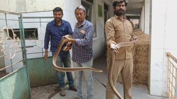 coimbatore voc par and zoo animals relocated for insuffeciant space vel coimbatore voc par and zoo animals relocated for insuffeciant space vel