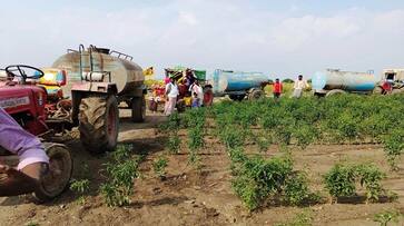Water from Tanker to Sustain Chilli Crop at Maski in Raichur grg Water from Tanker to Sustain Chilli Crop at Maski in Raichur grg