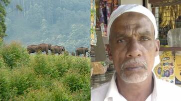 58 year old man killed in wild elephant attack in wayanad etj 58 year old man killed in wild elephant attack in wayanad etj