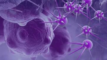 Foods that may increase your risk of Cancer Foods that may increase your risk of Cancer