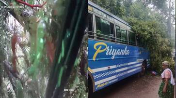 A huge tree fell on top of the running bus, passengers had a narrow escape A huge tree fell on top of the running bus, passengers had a narrow escape