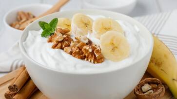 foods for gut health you must eat foods for gut health you must eat