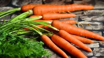 can carrots help you lose weight can carrots help you lose weight